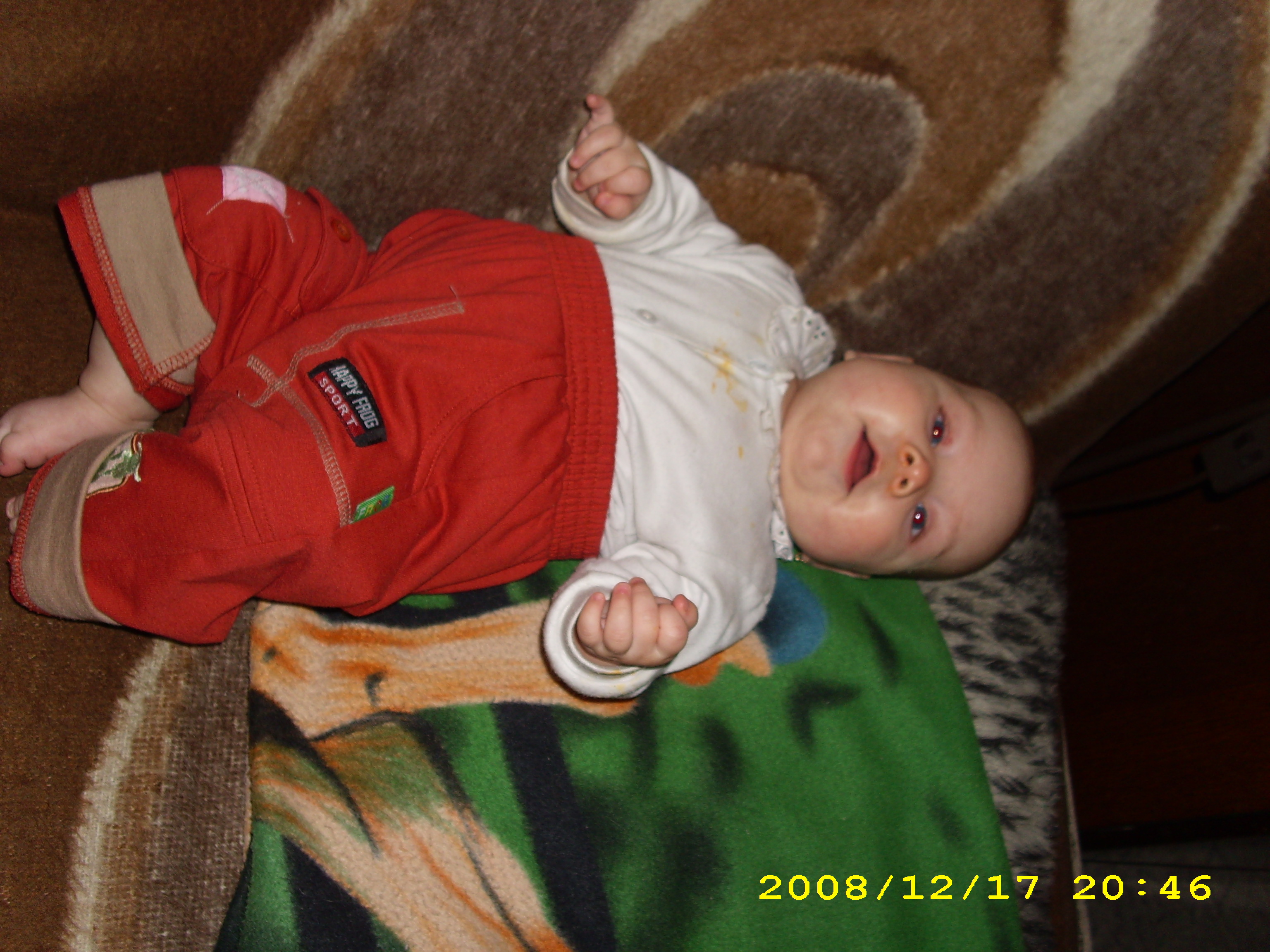 IMG_0001-Dalmatinka.JPG